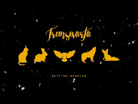 TRANSMORFO (Booktrailer)