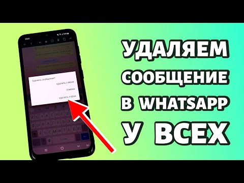 Как удалить сообщение в WhatsApp: у себя или у всех после 68 минут