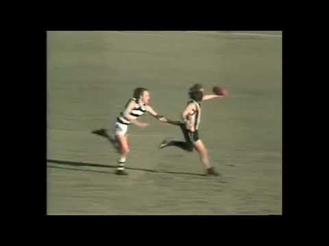 Peter Daicos puts Collingwood in the 1981 Grand Final