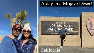 A day in Mojave desert at Joshua Tree National Park, California