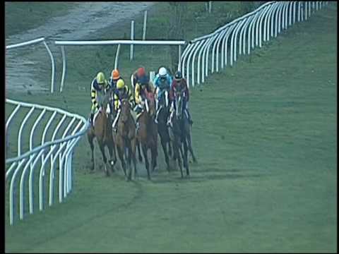 Galoppo 21/01/2017 - 3ª corsa