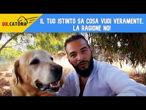 Il tuo Istinto sa cosa Vuoi Veramente. La Ragione No!!