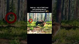 Mysterious Bear Watching From a Distance