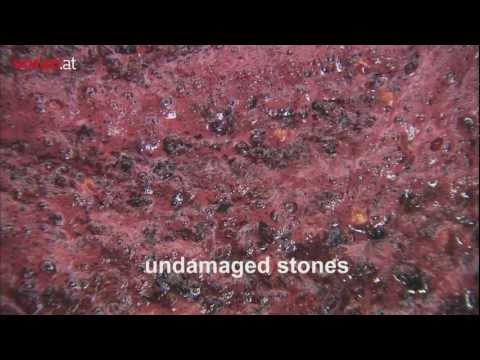 Voran - Molino centrífugo de fruta RM5,5