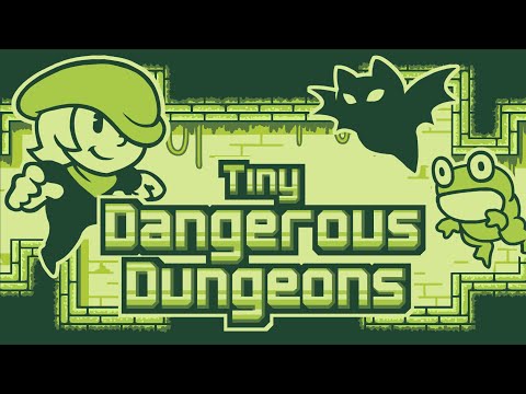 Tiny Dangerous Dungeons video