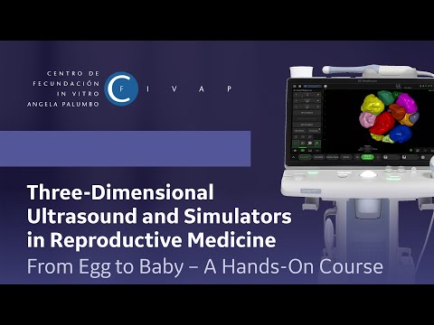 Automatic Evaluation of Ovarian Follicles at Baseline and During Stimulation