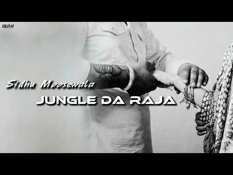 JUNGLE DA RAJA - SIDHU MOOSEWALA SIDHU AI VOICE ( TIGER ) MUSIC IRON BEATZ 