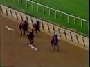 Lady's Secret - 1985 Beldame Stakes