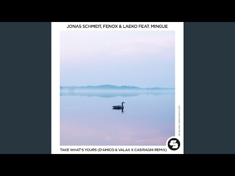 Take What's Yours (D'Amico & Valax x Casiraghi Remix)