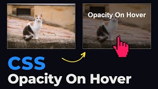 Beautiful CSS Opacity Effect On Hover | CSS Overlay Text On Image