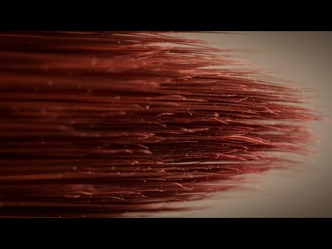 Spectacular Closeups of Everyday Objects - The Morning News
