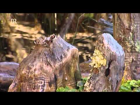 Reisereportage: Feuerland (1 von 2)