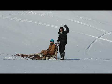 Fjordhusky Sogndal Dog Sledding