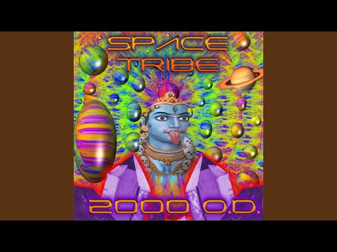 The First Trip (Original Mix)