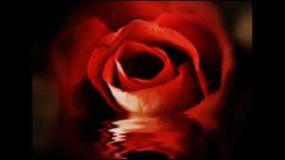 nana mouskouri   julio iglesias   se que volveras