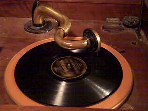 BEN SELVIN KNICKERBOCKERS VIVA-TONAL - HAPPY DAYS AND LONELY NIGHTS - ROARING 20'S VICTROLA 8-30