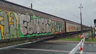 EU46-508 (PKP CARGO) z krytymi na Ostrów Wielkopolski 24.10.2025