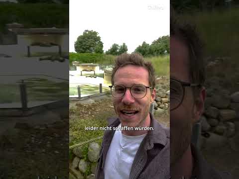 Video Thumbnail: Die Seehundstation an der Nordsee 😍