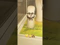 Winnie The Pooh Collection At Pandora