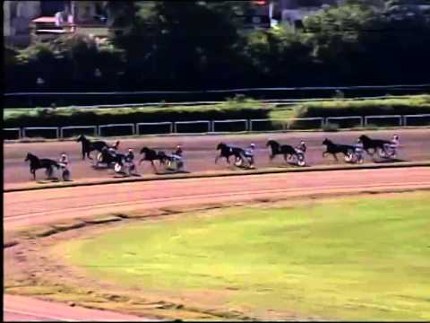 Trotto 22/06/2014 - 1° prova di qualifica