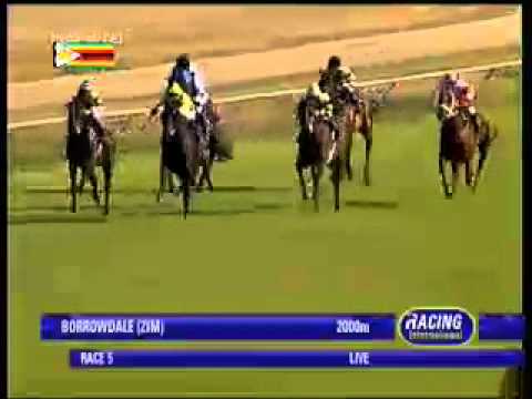 2013.06.16 Zimbabwe Oaks - Equina