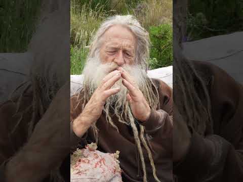 Dr.Colly Donald Denzler und seine Erfahrung mit Magic Mushroom
