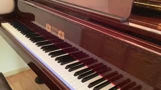 パッヘルベルのカノン　パッヘルベル　ピアノ演奏　小野寺麻紀