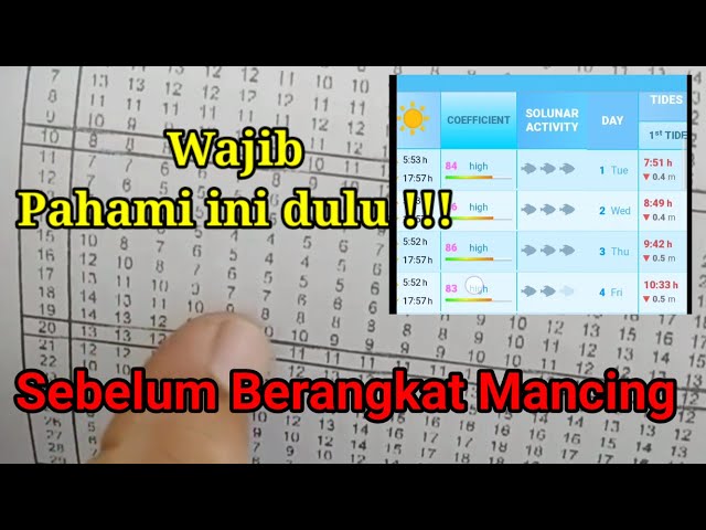 Wymowa wideo od jadwal na Indonezyjski
