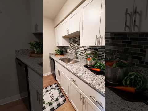 THE BRISTOL property video