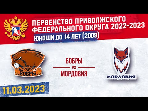 БОБРЫ - МОРДОВИЯ 11.03.2023
