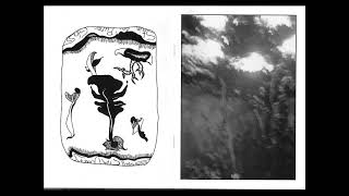 Small Cruel Party - The Waking Of Leafy Pools