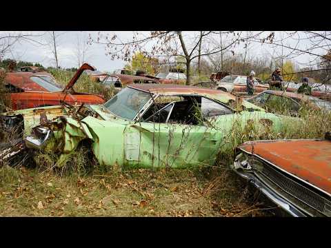 INCREDIBLE Junkyard full of Vintage Muscle Cars!