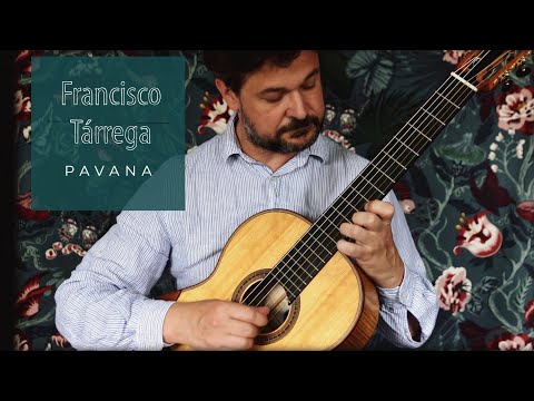 No nails technique - Francisco Tárrega - Pavana - classical guitar - gut strings