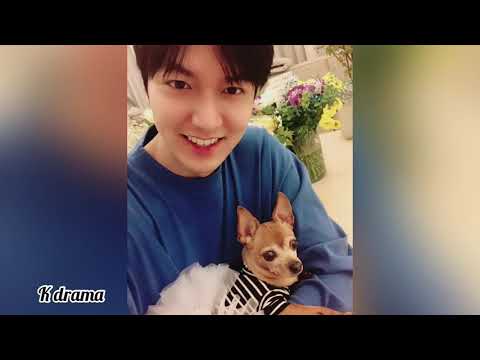 Lee min ho little luxurious pet choco ❤️🦮🦮🦮