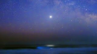 最大光度の金星（明けの明星）