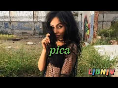 Shellsy baronet - mel