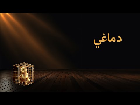 El Far3i - Dmaghi | الفرعي - دماغي