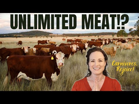 Bible-Based Nutrition: What God Actually Says We Should Eat