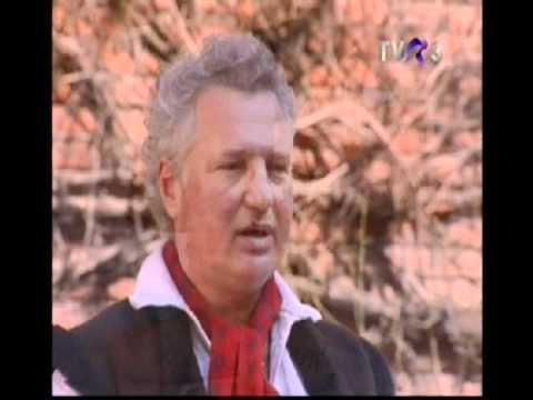 Nicolae Diaconu Sofronesti ceramica figurativa