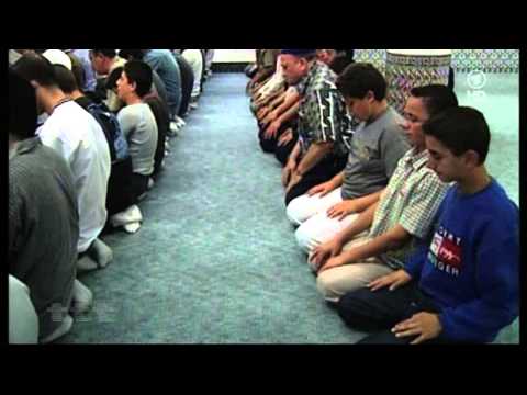 ttt - titel thesen temperamente - Mythos Überfremdung - Saunders räumt mit Vorurteilen auf - ARD