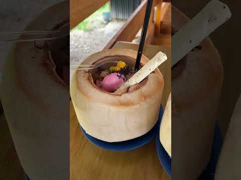 Coconut Shell Ice Cream #shorts