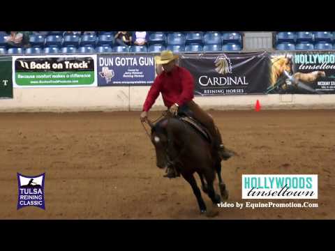 Imasonofagunner ridden by Brent Loseke  - 2015 Tulsa Reining Classic (Open Futurity)