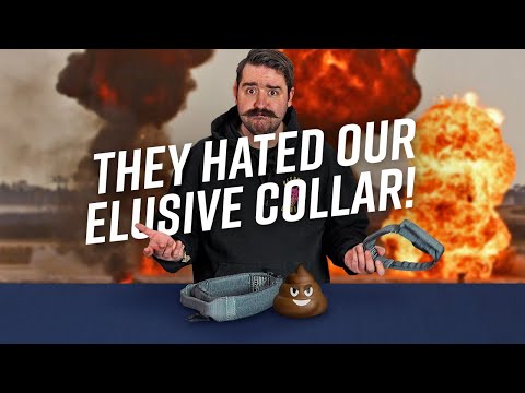 E-Lusive 2.0™ ID-Halsband... Hater werden immer haten