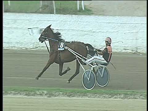 Trotto 24/09/2017 - 4ª corsa