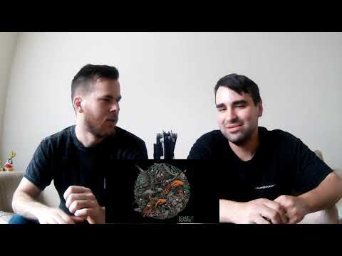 Musicians REACT to Scale The Summit- Form & Finite (feat. Mike Semesky) (REACTION)