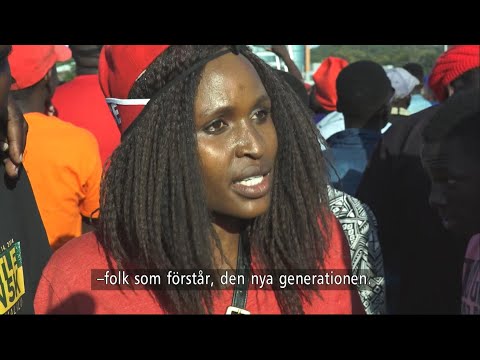 Första fria valet i Zimbabwe på decennier: ”Stora förhoppningar om framtiden” - Nyhetsmorgon (TV4)