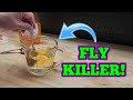 How To DIY Your Own Home Made Fly Trap Solution
