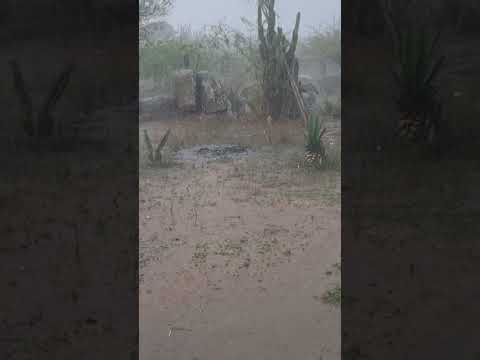 chuvada boa serra preta bahia