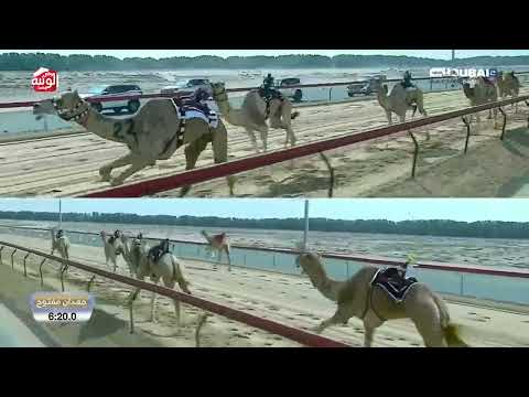  ش 4 (شاهين) لـ هجن زعبيل 9:08:1 , تأهيل المرموم 2026/03/05 ايذاع 