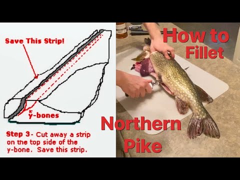 FAST and Boneless Northern Pike Filleting Method